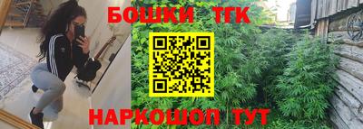 стафф Новодвинск