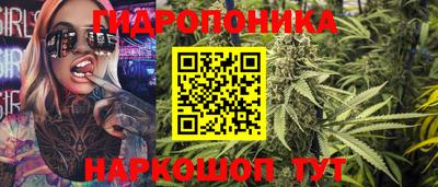 прущие крисы Новокубанск