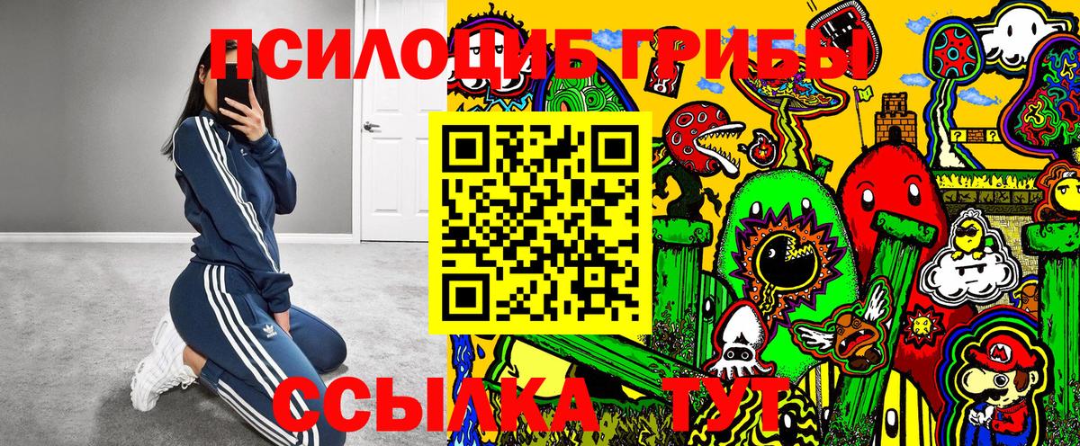 Галлюциногенные грибы ЛСД  Галлюциногенные грибы Psilocybine cubensis  купить наркоту  Вход с VPN  Учалы 